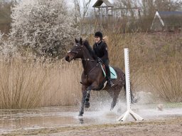 2016 TREC Træning 16 april